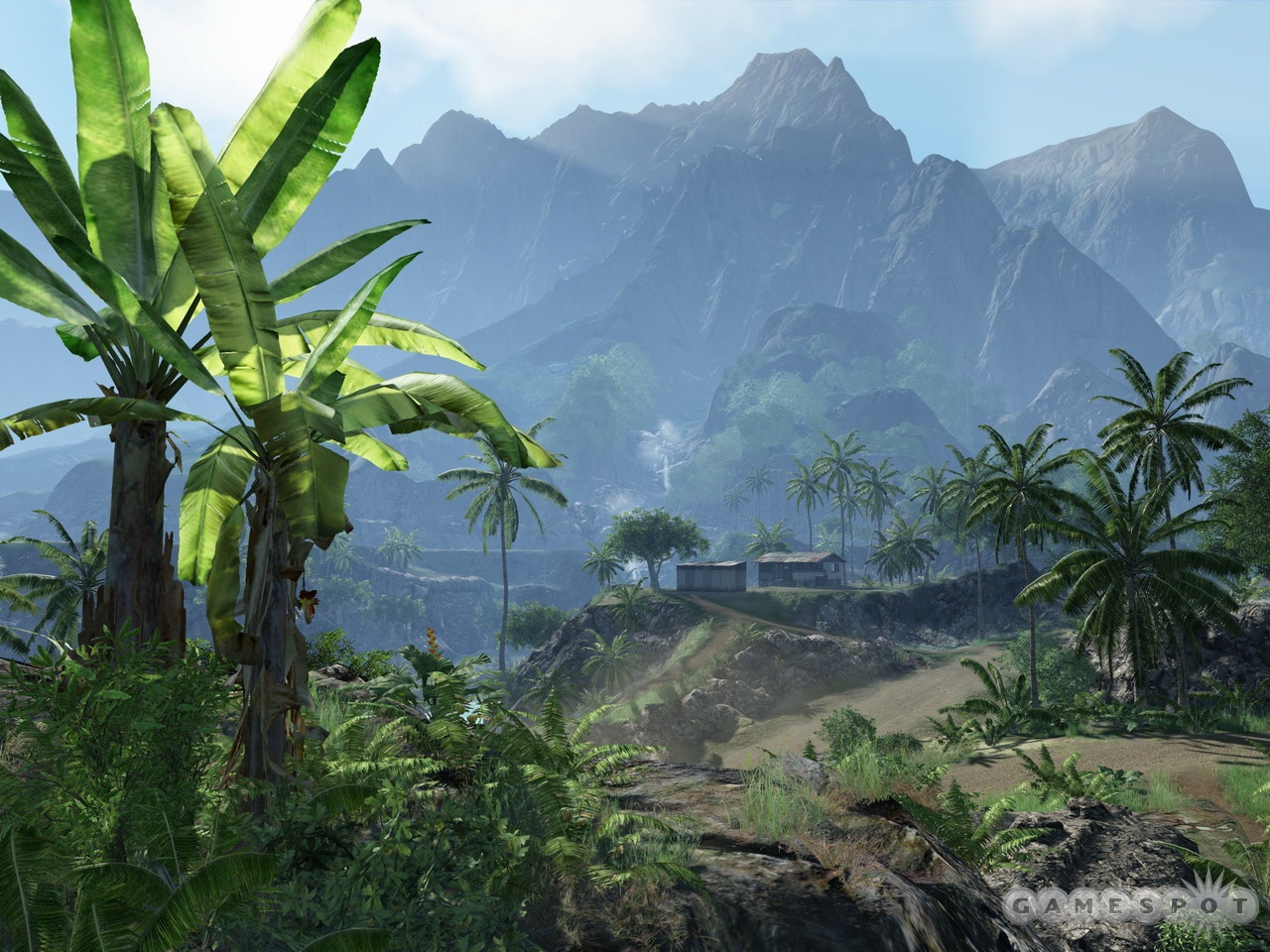 Crysis will make use of advanced graphics technology to create dense and highly detailed outdoor environments like this one.