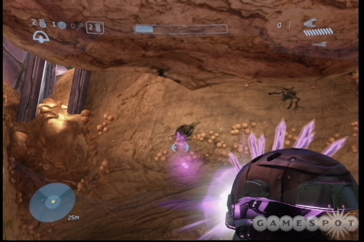 The needler works really well against Brutes and the Flood changelings.