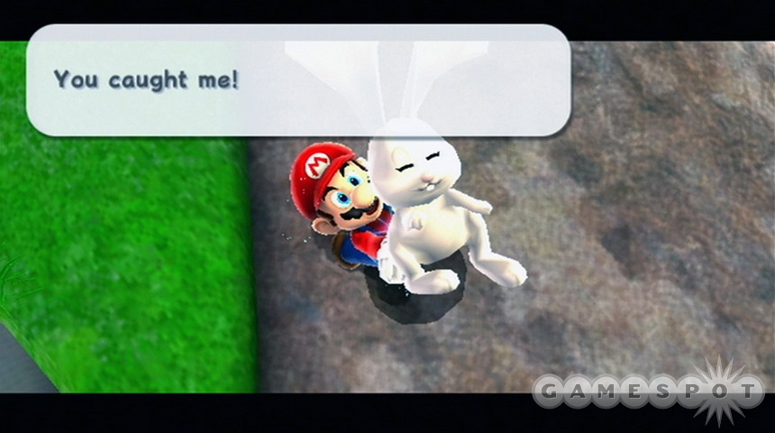 Mario enjoys touching rabbits.