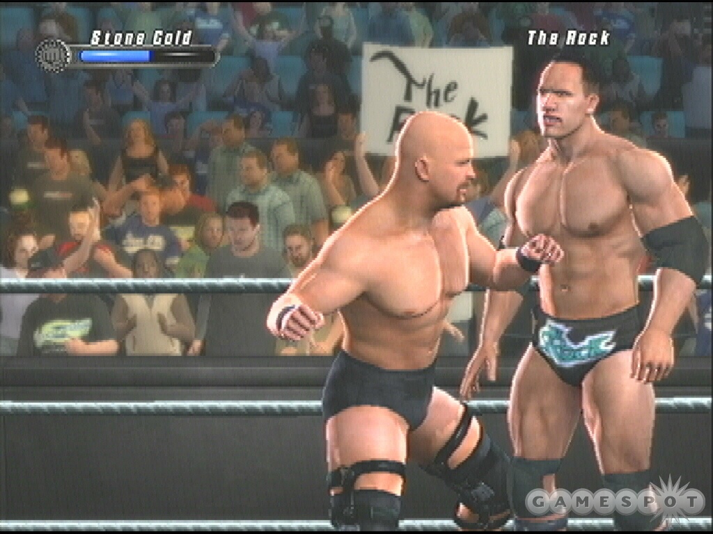 Both Stone Cold and The Rock use the Brawler and Showman fighting styles.