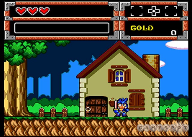 Dynastic Hero is Wonder Boy with a new coat of paint and an easier final boss encounter.