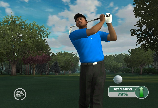 Wii controls are superb in Tiger Woods 09, but you still won't be able to match this guy.