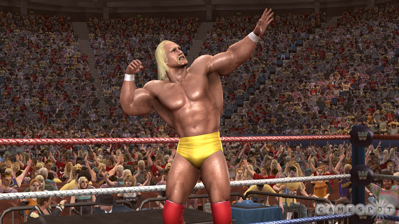 Moments after this screenshot was taken, Hulk Hogan and his gigantic, mutated back muscles took to the air in glorious flight, never to be seen again.