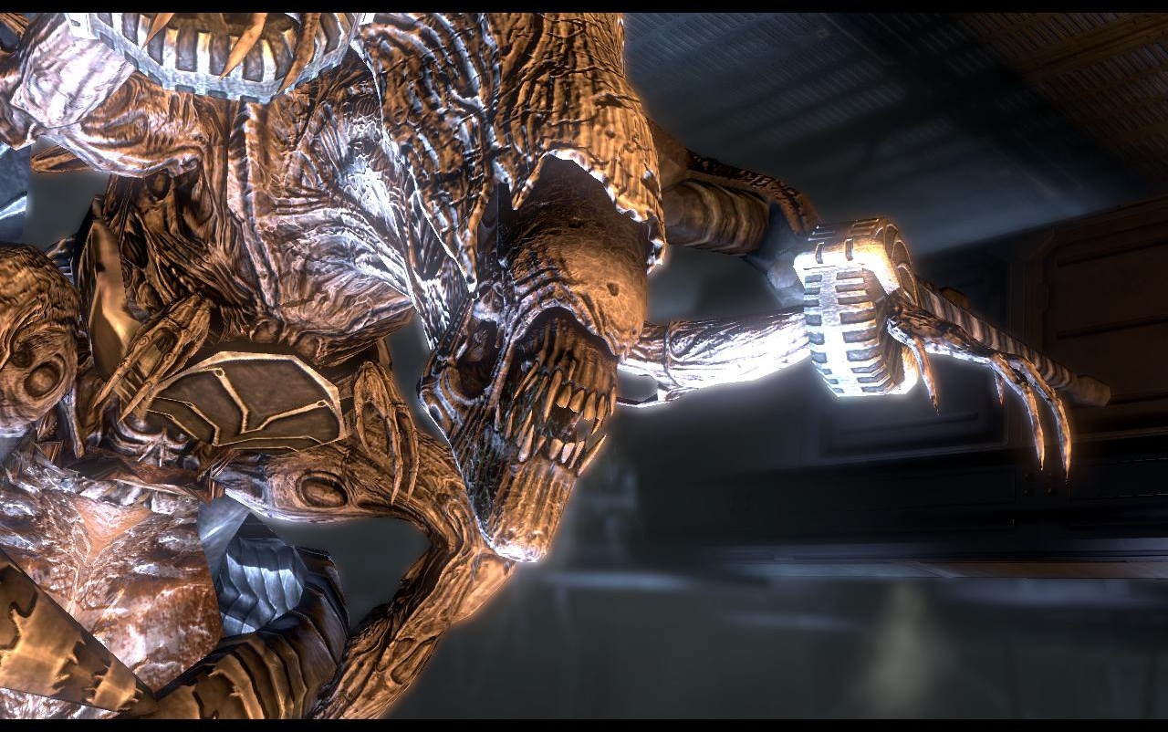 Xenomorphs are just misunderstood. OK, no they're not.