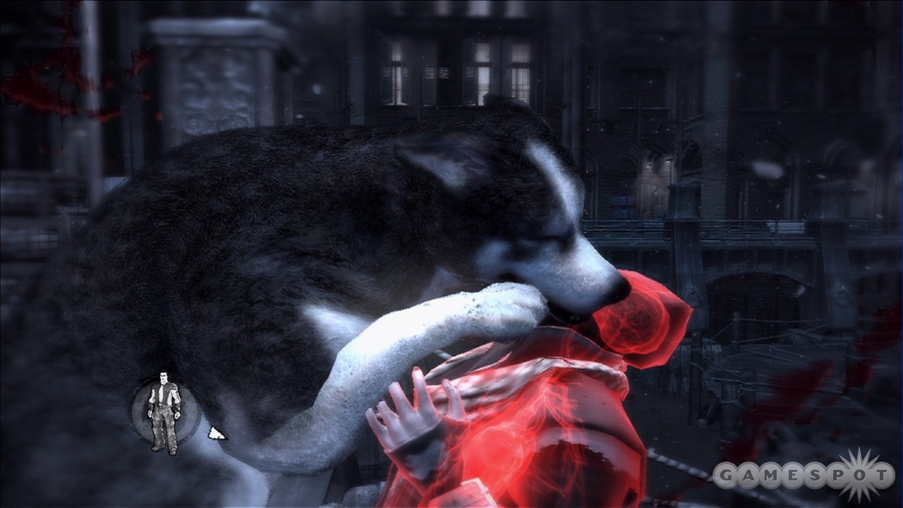 Shadow uses his remarkable understanding of human anatomy to be the best little throat mauler he can be.