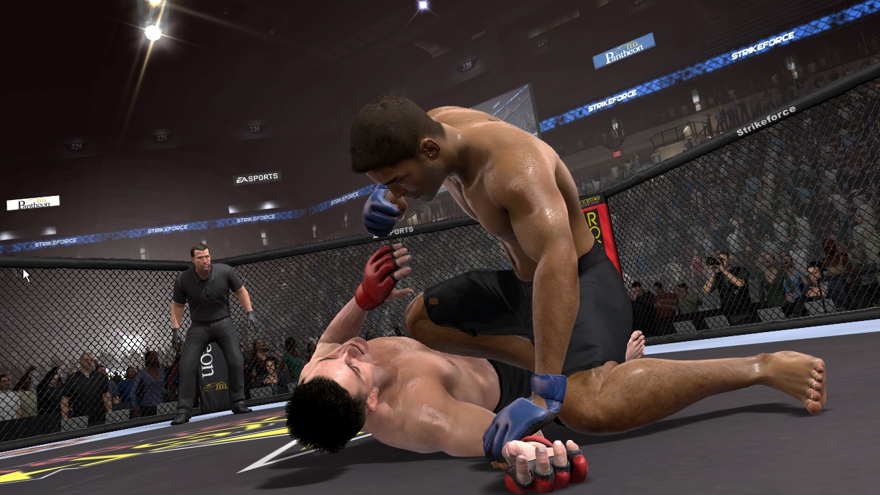 On foot, EA Sports MMA feels much like Fight Night 4; on the ground, it's an entirely different matter.