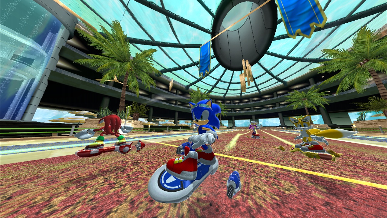 Можно игры соник. Sonic Riders игра. Гонки в Sonic Riders.