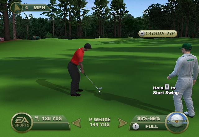 Caddie advice and the outstanding Wii remote controls make approach shots feel lifelike.