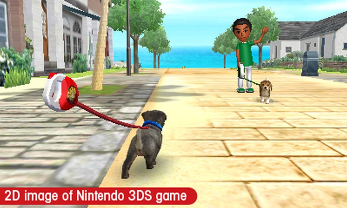 When people ask you why you're wandering the streets with your closed 3DS, tell them you're walking the dog.