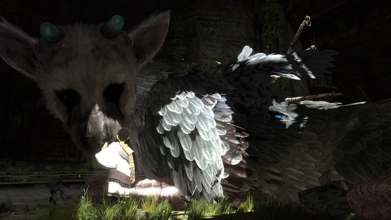 Let's hope this gorgeous creature from The Last Guardian hasn't been put to sleep.