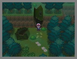 Pokémon Black 2/White 2 Dream World + Entralink gameplay 