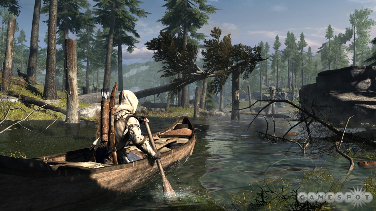 The wilderness is an important part of ACIII.