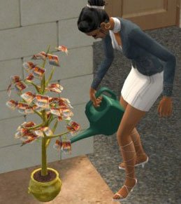 At EA, money really does grow on trees.