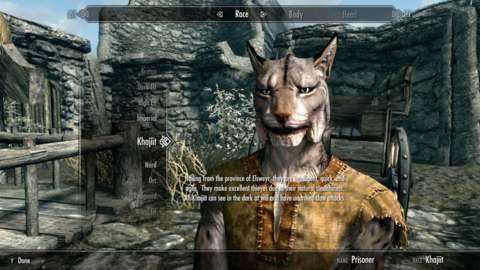 Skyrim Nintendo Switch Character Creation Guide: Best Races, Builds, And  Bonuses - GameSpot