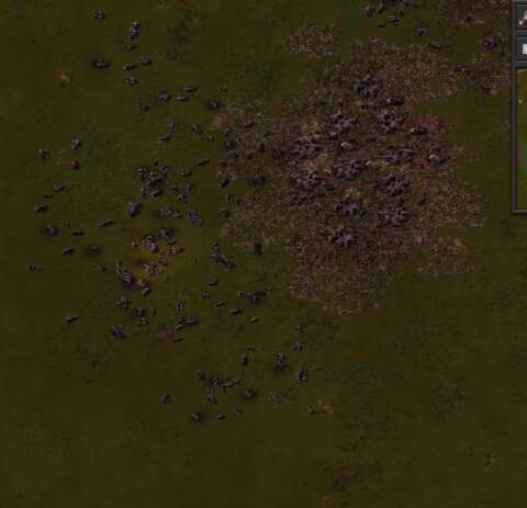 The carnage after having annihilated a hive can be quite gratifying.