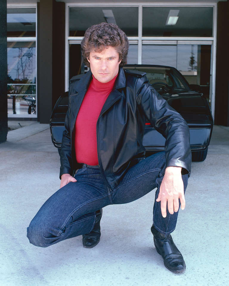 Pictured: The Hoff