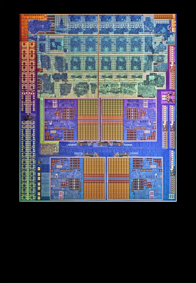 AMD Lynx
