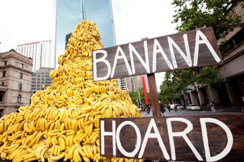 Help yourself to bananas everyone.