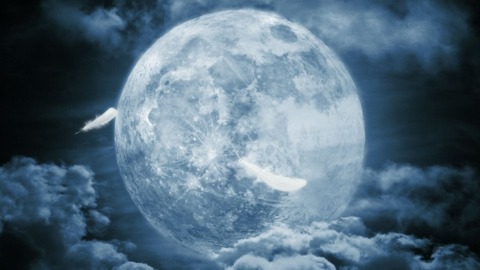 This lunar pic is about all Sega's shown of Bayonetta.