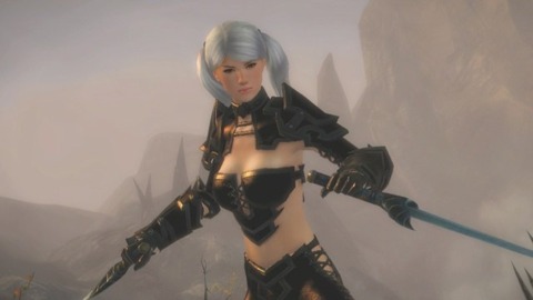Guild Wars 2 is being designed as a social MMOG.