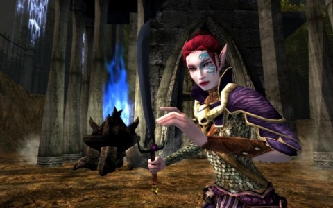 CDungeons & Dragons Online's move to free-to-play has been successful.