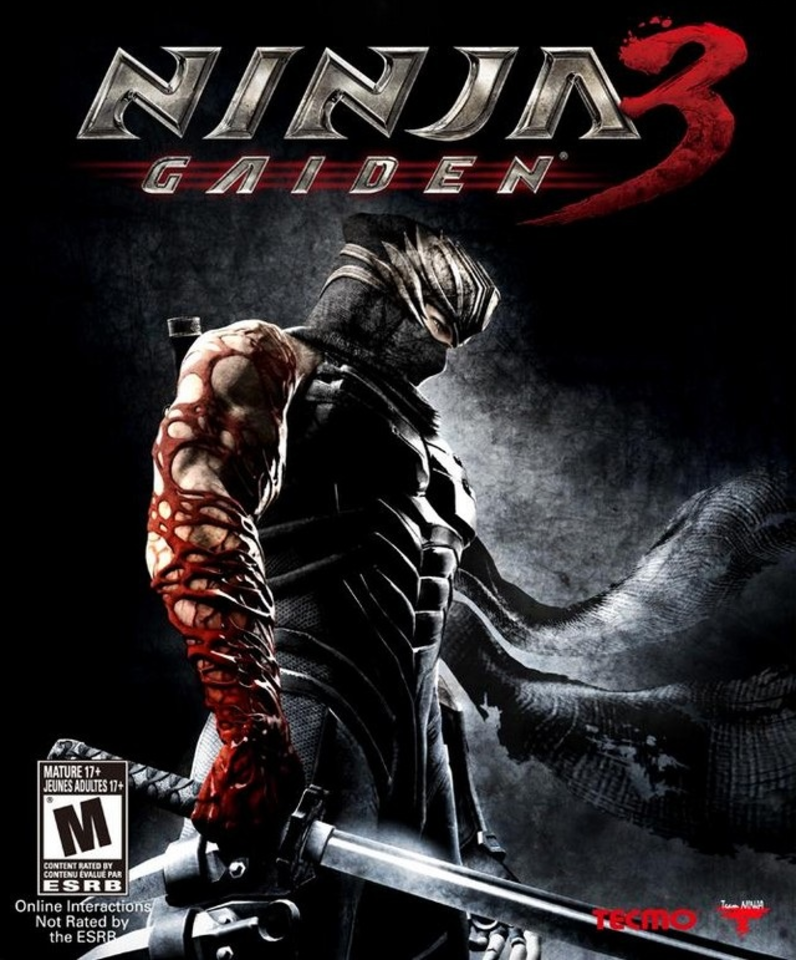 lezing optie bericht Ninja Gaiden 3 Cheats For PlayStation 3 Xbox 360 Wii U - GameSpot
