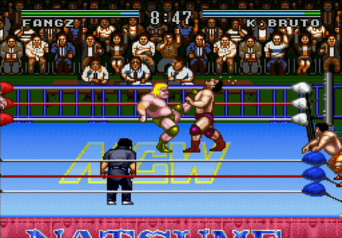 Gamers can get between the 16-bit ropes today in Championship Wrestling.