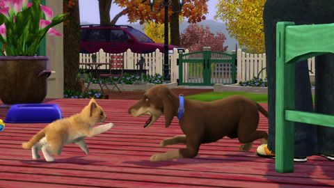 It's all about cats and dogs in The Sims 3's newest expansion.
