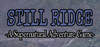 Still Ridge - A Supernatural Adventure Game