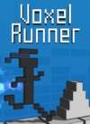 Voxel Runner