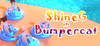 ShineG In Bumpercat