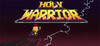 Holy Warrior