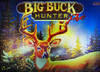 Big Buck Hunter Pro (Pinball)