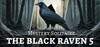 Mystery Solitaire. The Black Raven 5