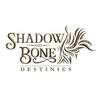 Shadow and Bone: Enter the Fold