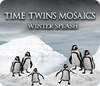 Time Twins Mosaics: Winter Splash