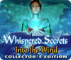 Whispered Secrets: Into the Wind