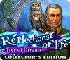 Reflections of Life: Tree of Dreams