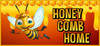 Honey Comb Home