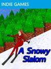 A Snowy Slalom