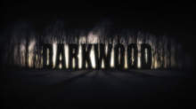 Darkwood (1992)