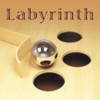 Labyrinth (2009)