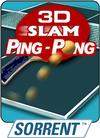 3D Slam Ping-Pong