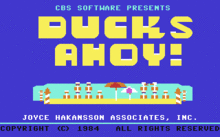 Ducks Ahoy!