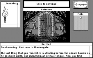 My first experience with Shadowgate looked like this.