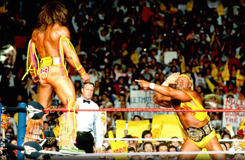 17. WrestleMania 6 (1990)