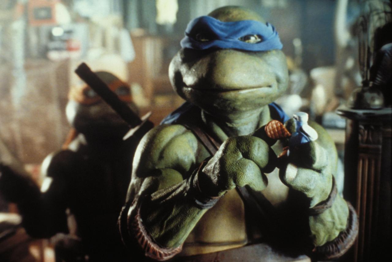 48. Leonardo (Teenage Mutant Ninja Turtles)