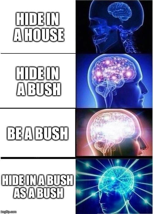 Expanding Bush Brain