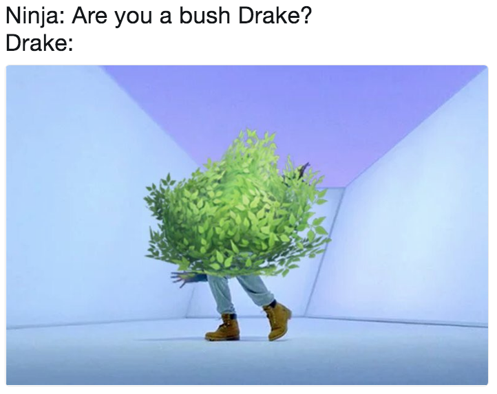 Bush Drake