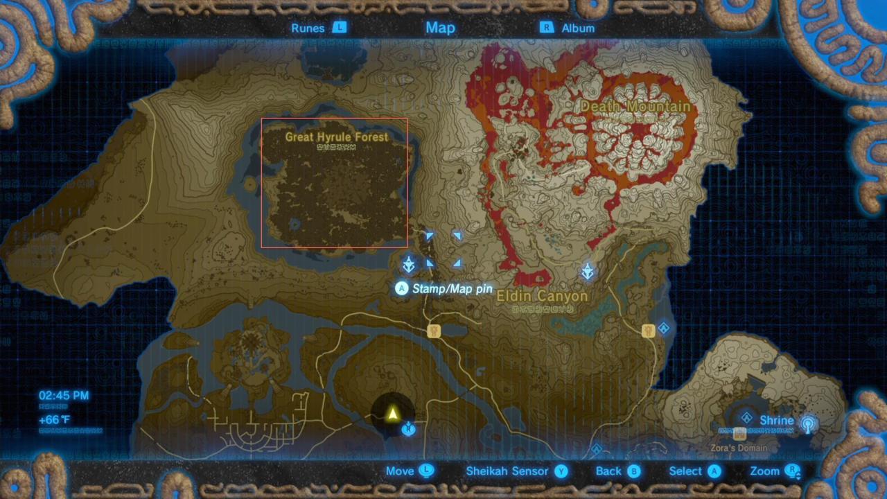 The location of the Korok Forest.